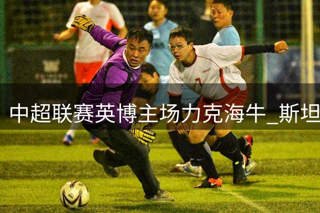 中超联赛英博主场力克海牛 斯坦丘罗竞联袂建功