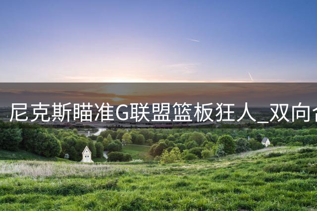 尼克斯瞄准G联盟篮板狂人 双向合同或成补强妙招