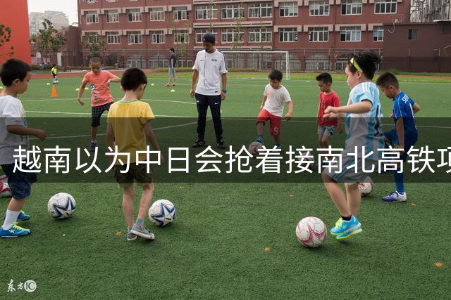 越南以为中日会抢着接南北高铁项目，结果万万没想到，日本直接撤了，中国企业从头到尾沉默，连价都懒得报